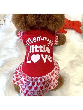 Small Red Heart Dog Dress